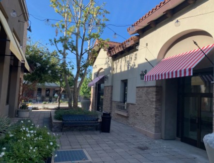 Professional Cleaning